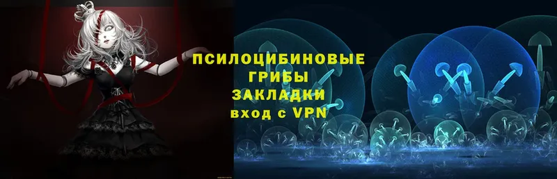 даркнет телеграм  Верещагино  Псилоцибиновые грибы мухоморы 